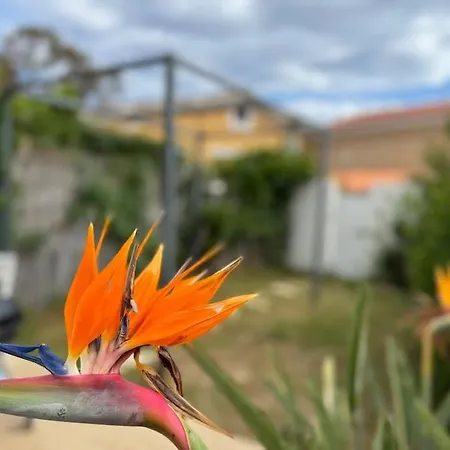 Garden's, Poetto, * Cagliari